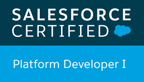 Salesforce Development Company - PD1