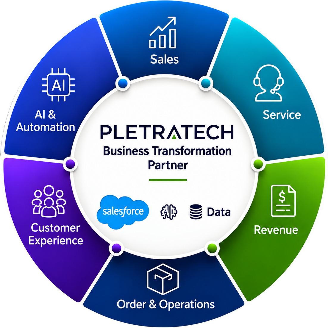 PletraTech Business Transformation Partner